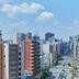 屋外の景色