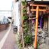 屋外の景色