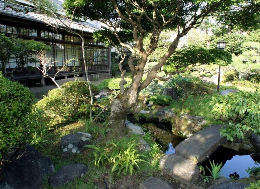 屋外の景色 写真