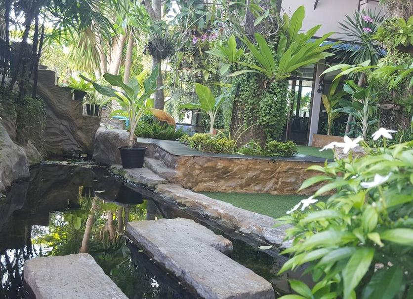 屋外の景色 写真