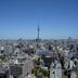 屋外の景色