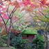 屋外の景色