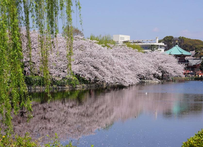 屋外の景色 写真