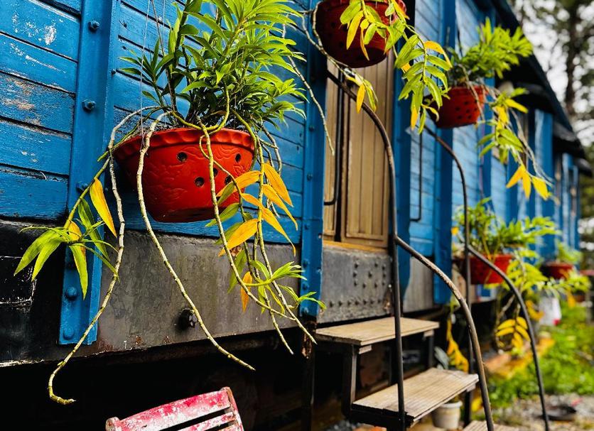 屋外の景色 写真
