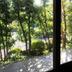 屋外の景色