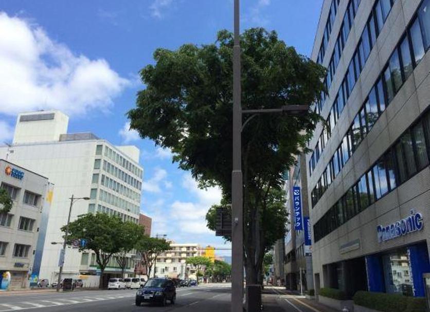 屋外の景色 写真