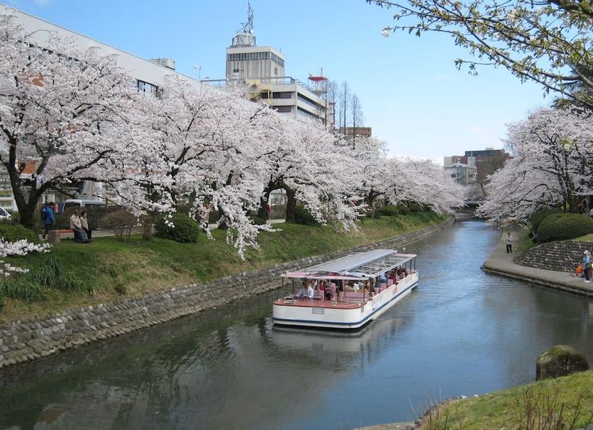 屋外の景色 写真
