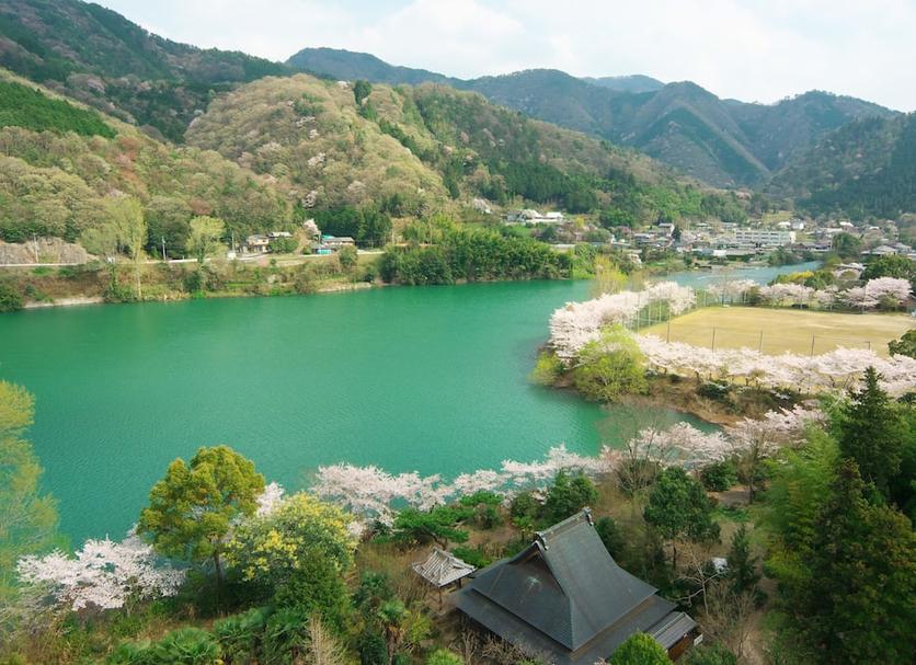 屋外の景色 写真
