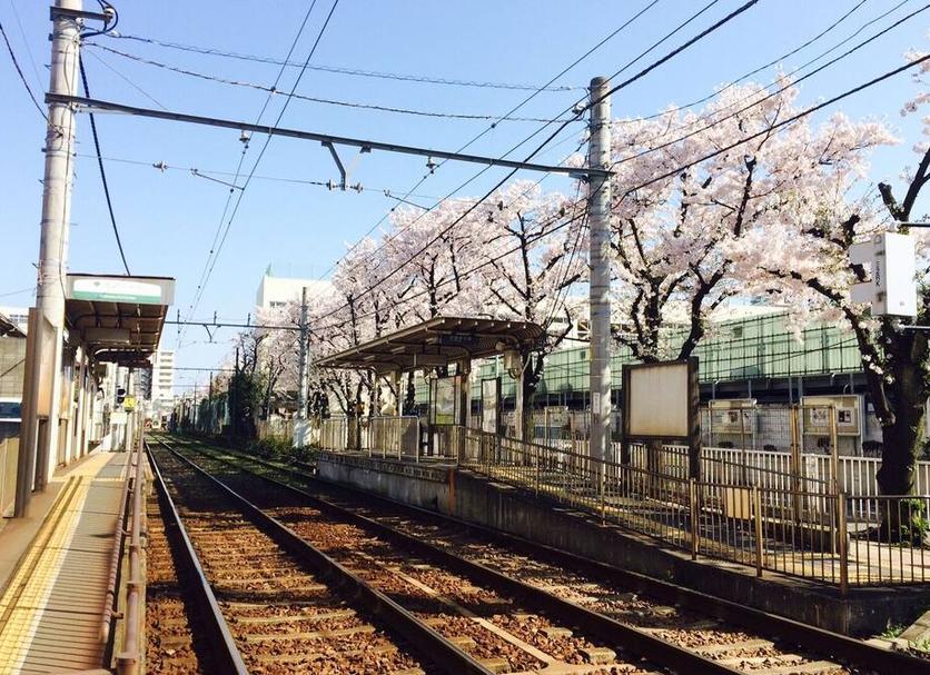 屋外の景色 写真