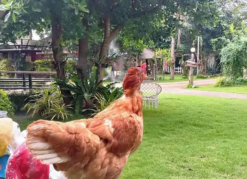 その他 写真