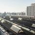 屋外の景色