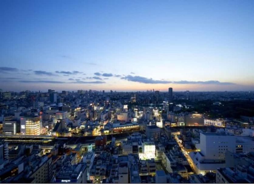 屋外の景色 写真