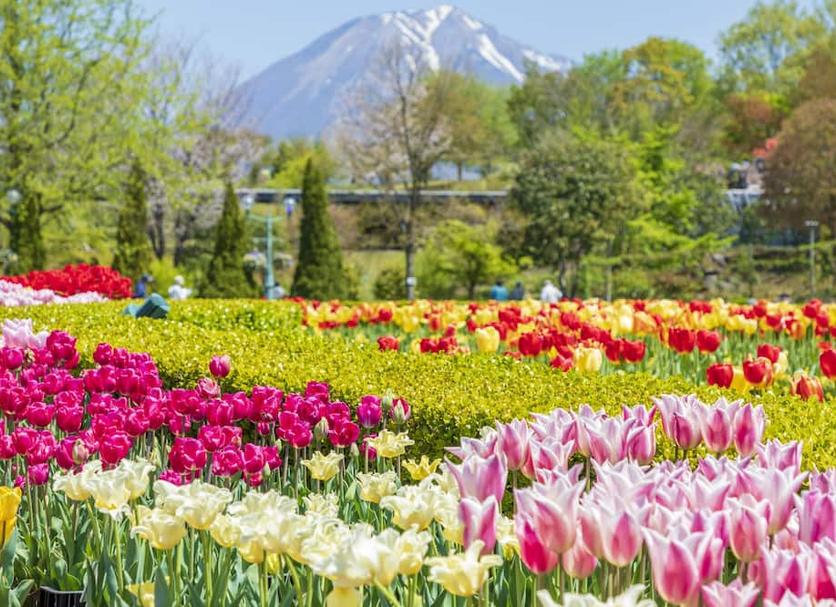 アトラクション 写真
