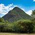 屋外の景色