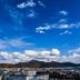屋外の景色