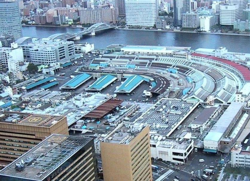 屋外の景色 写真