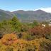 屋外の景色
