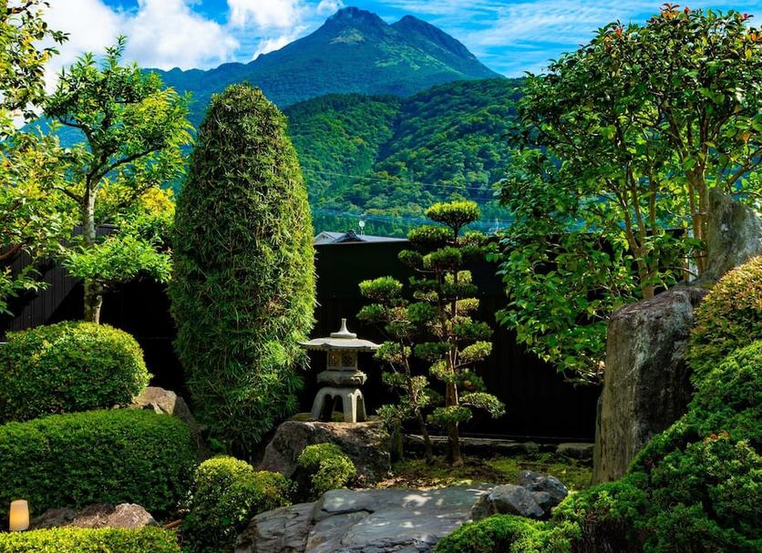 屋外の景色 写真