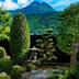 屋外の景色