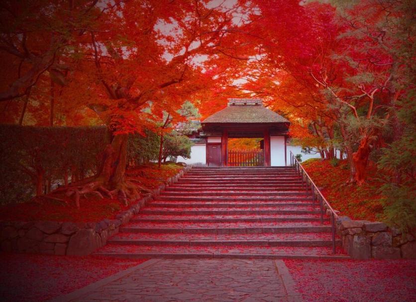 階段 写真
