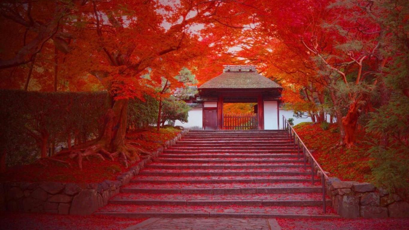 ダース旅館