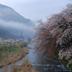 屋外の景色