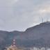 屋外の景色