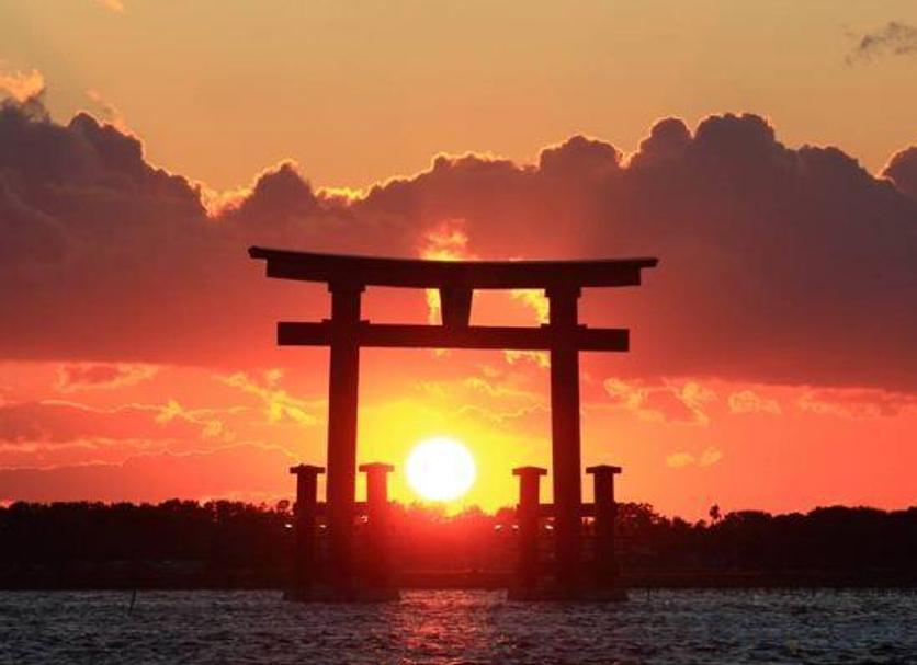 屋外の景色 写真