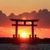 屋外の景色