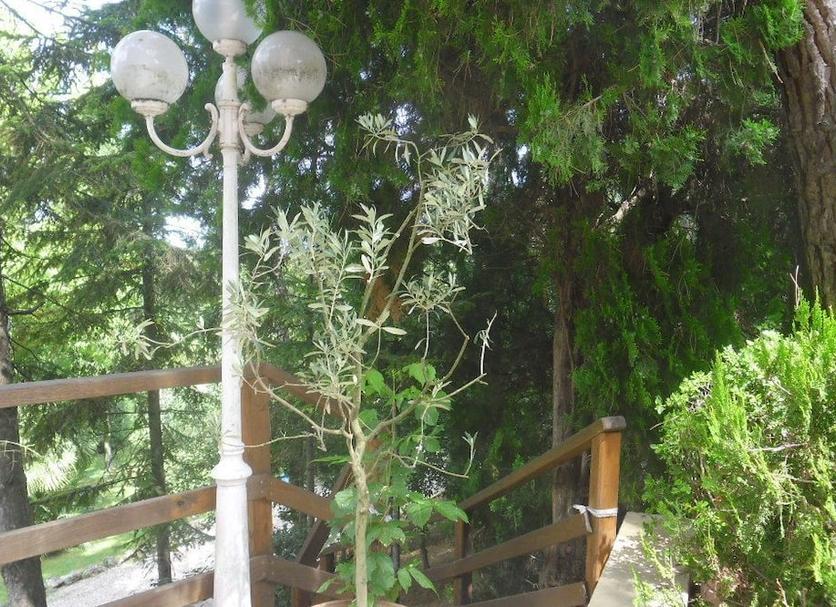 屋外の景色 写真