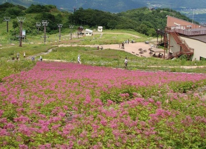 屋外の景色 写真