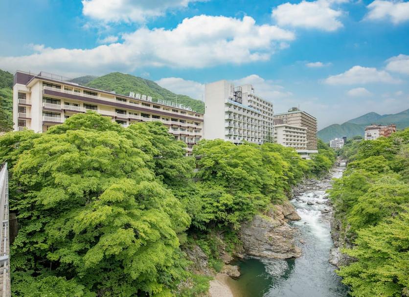 屋外の景色 写真