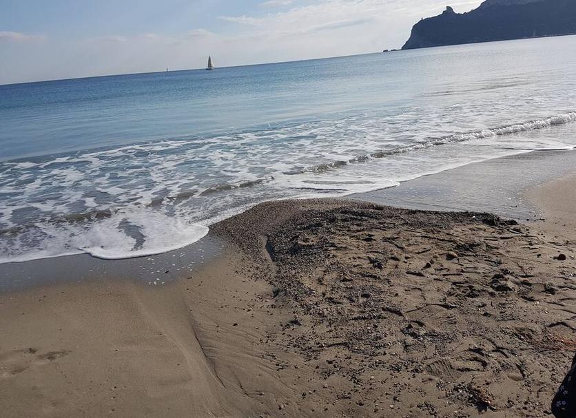 客室の設備 写真