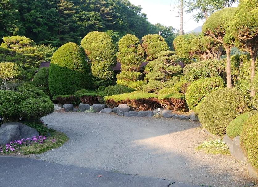 屋外の景色 写真