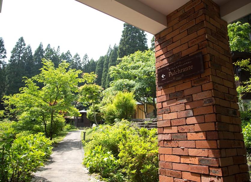 屋外の景色 写真