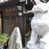 屋外の景色