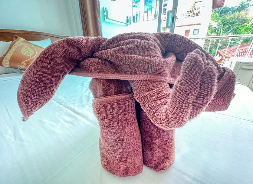 その他 写真