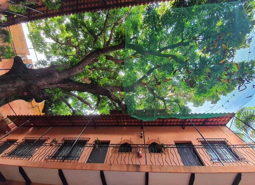 屋外の景色 写真