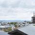 屋外の景色