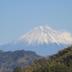 屋外の景色
