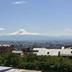 屋外の景色