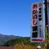 屋外の景色