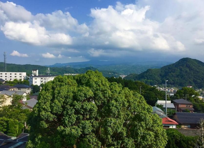 屋外の景色 写真