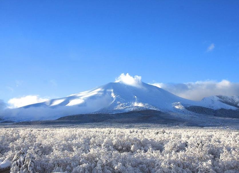 屋外の景色 写真
