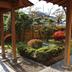 屋外の景色