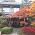 建物