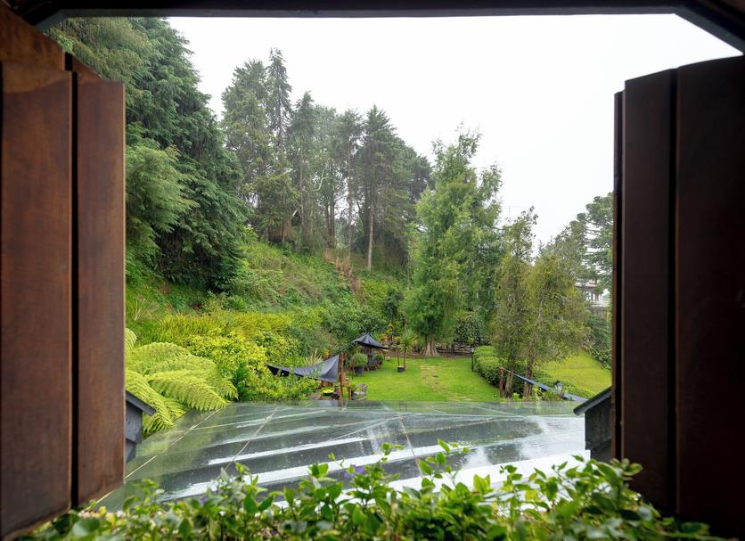 屋外の景色 写真
