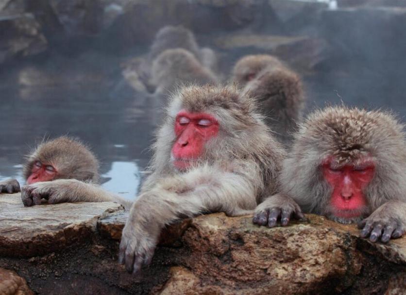 その他 写真