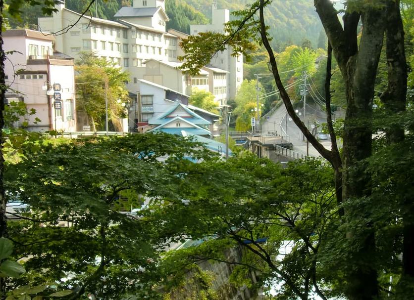 屋外の景色 写真