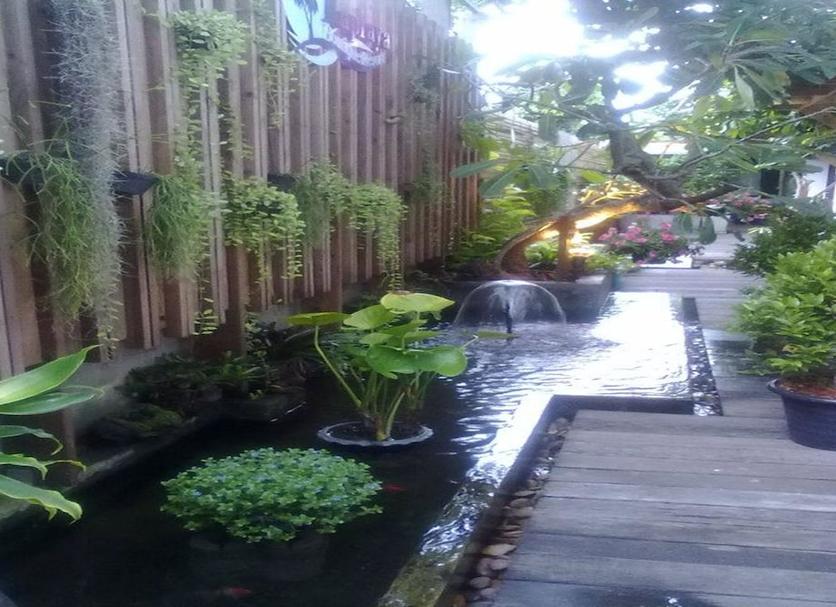 屋外の景色 写真